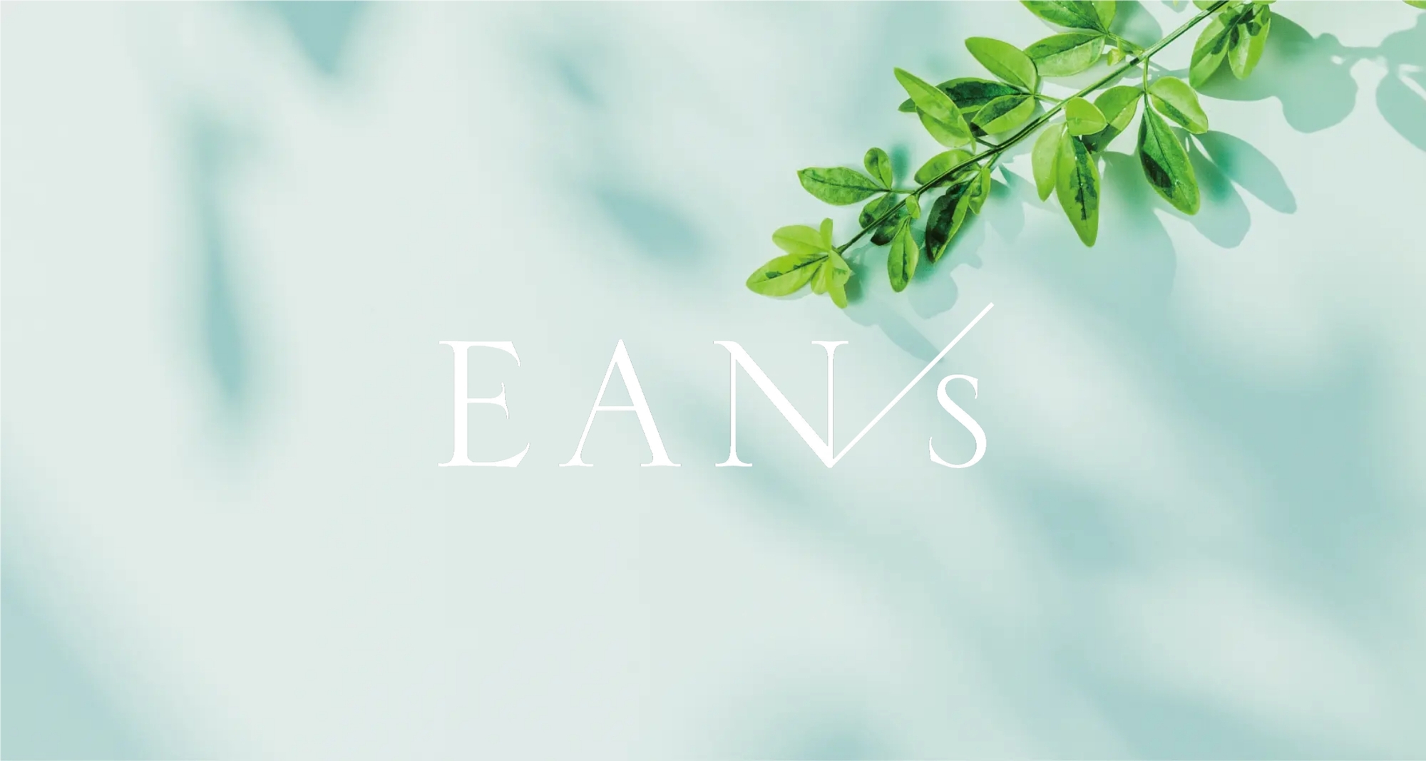 しなやかな髪を目指すならsystem